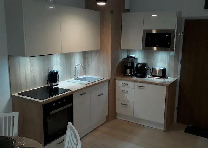 Apartment Oliwka Z Prywatnym Miejscem Postojowym *